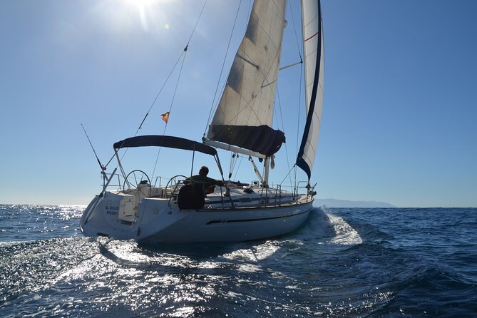 Dolphin and Whale Sailing Tour in Los Gigantes - Quick take: what makes this boat trip worth considering