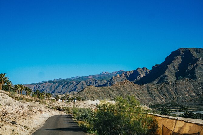 Double Tuk Tuk Tour in Costa Adeje - The Duke area and Tenerife’s luxury story