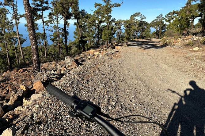 E-bike Ride at Chinyero Natural Reserve - on premium bikes - Transport, timing, and what is included