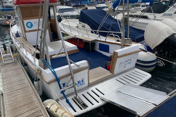 Eco Adapted Diving in Tenerife - Starting at Puerto Colón in Costa Adeje