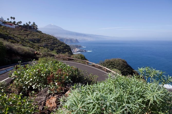 Enogastronomic Tour- 4 hours in Tenerife - Is $143.37 a fair price?