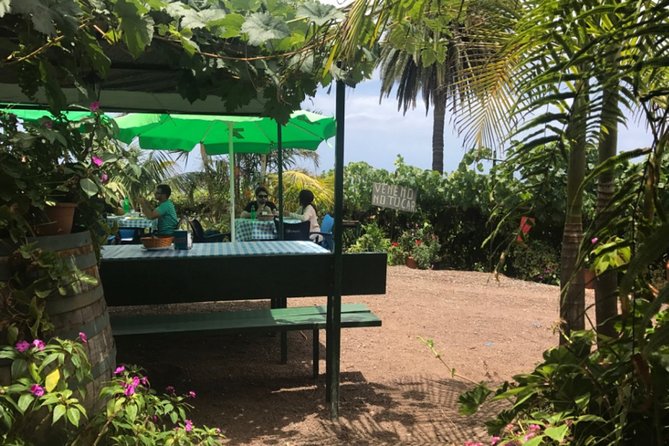 Enogastronomic Tour- 4 hours in Tenerife - Who should book this experience?