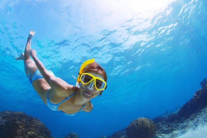 Exclusive Snorkeling Trip Guided by Marine Biology Specialist - GooDiving in Golf del Sur is the starting point