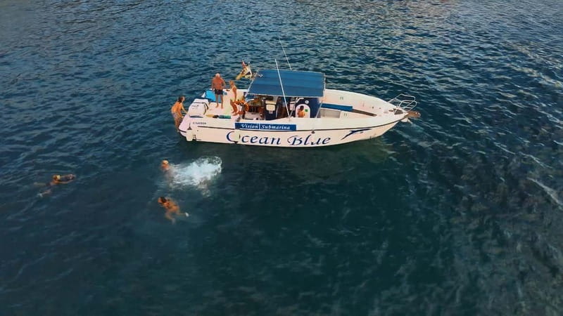 Excursion to see the whales - 3 Hours - Whale watching without a guaranteed sighting