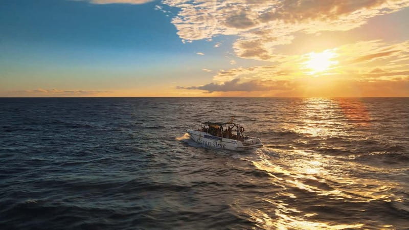 Excursion to see the whales - 3 Hours - A swim stop at El Puertito or Playa de Las Vistas