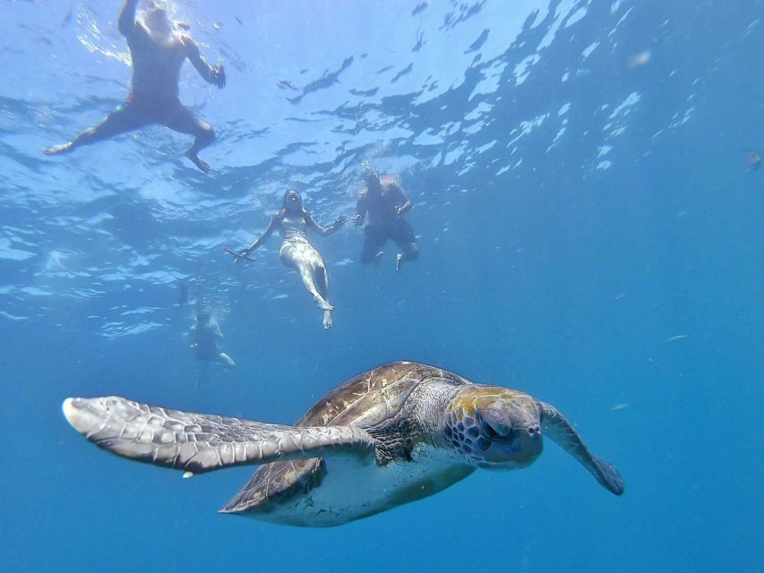 Explore Tenerife with the Snorkel Kit - Finding Adventoure Kayak on Juan Reverón Sierra Street