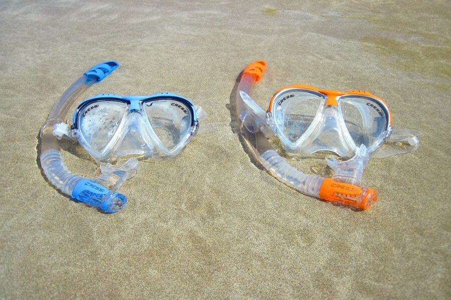 Explore Tenerife with the Snorkel Kit - Turtle watching requires patience and distance