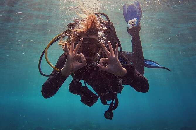 First Dive Experience in Tenerife - Key points to know before you book