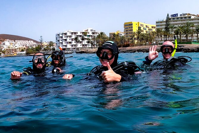 First Dive Experience in Tenerife - From the shore to the volcanic reef