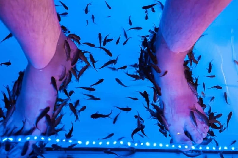Fish Spa Experience - Small Groups and the Feel of the Appointment