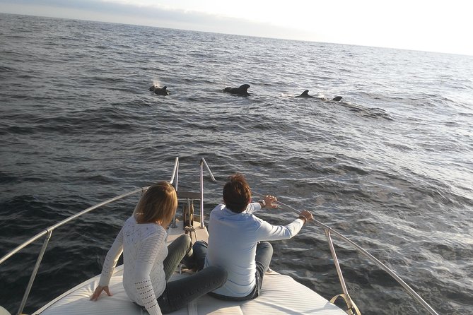Fishing trip, Tenerife Sea Passion - Choosing between three kinds of fishing