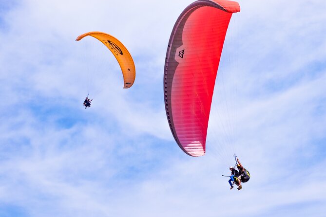 FlyTenerife Paragliding Flight - Key points to know before booking