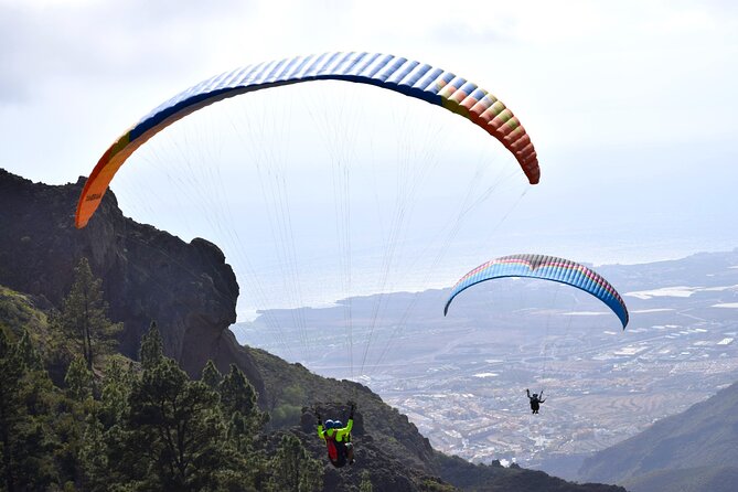 FlyTenerife Paragliding Flight - Landing points can change