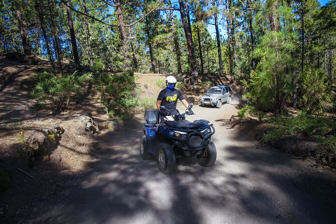 Forest & Off Road National Park Quad Biking Tour - Key points before you book