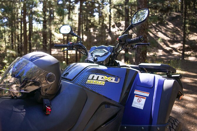 Forest & Off Road National Park Quad Biking Tour - Riding the quads on mountain routes