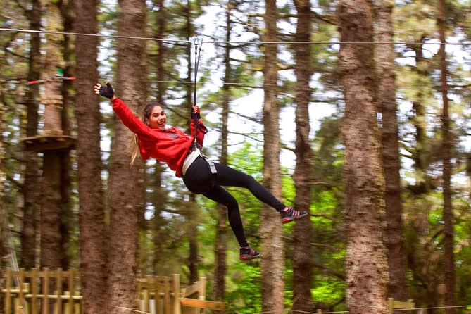 Forestal Park Tenerife Entrance Ticket - Key points at a glance