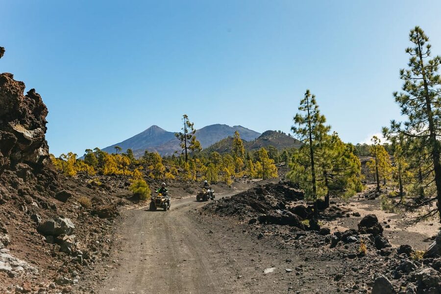 From Costa Adeje: Mount Teide Forest Off-Road Quad Bike Tour - Key points to know before you book