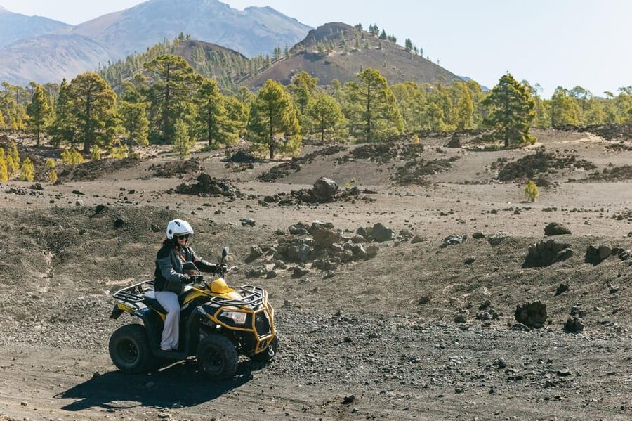 From Costa Adeje: Mount Teide Forest Off-Road Quad Bike Tour - From South Tenerife to the slopes of Teide