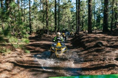 Mount Teide Forest Off-Road Quad Bike Tour