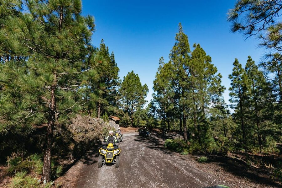 From Costa Adeje: Mount Teide Forest Off-Road Quad Bike Tour - Value, group size, and who will enjoy it most
