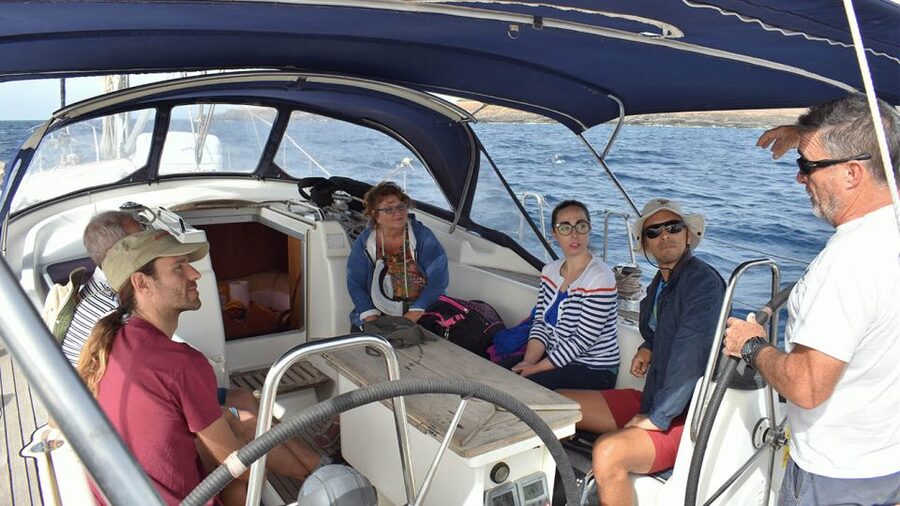 From Los Gigantes: Whale Watching Sailboat Cruise - Is $88 a fair price?