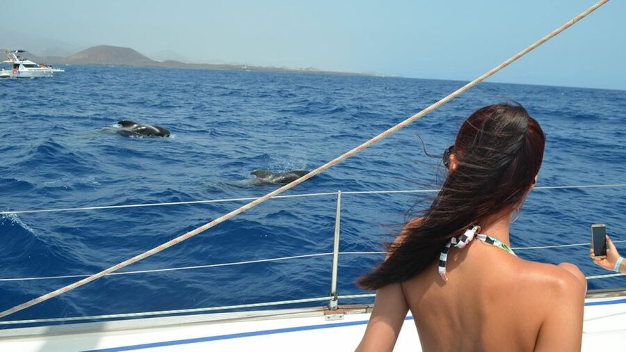 From Los Gigantes: Whale Watching Sailboat Cruise - What to bring and how to prepare