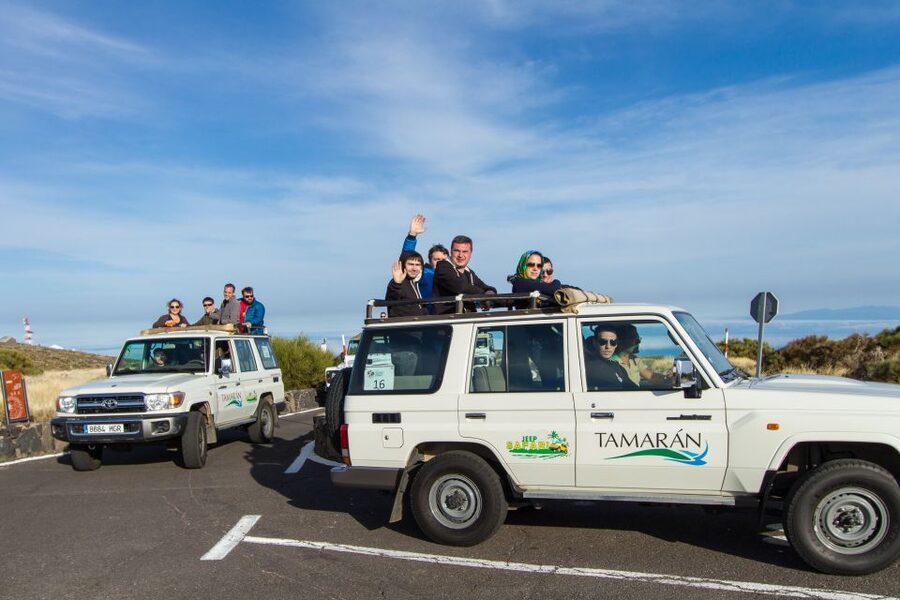 From Playa de las América: Half-Day Jeep Safari Tour - Why this half-day Teide trip works well