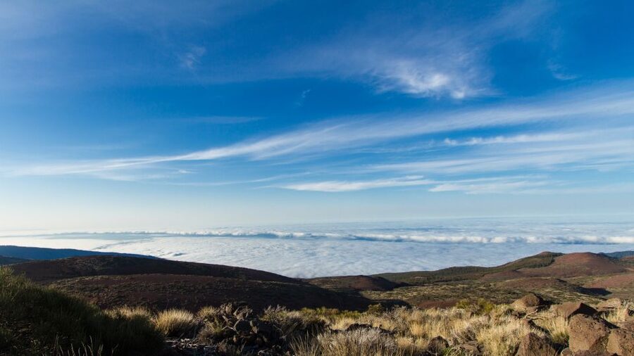 From Playa de las Américas: Full-Day Teide Jeep Safari - Teide National Park and the marks of volcanic activity