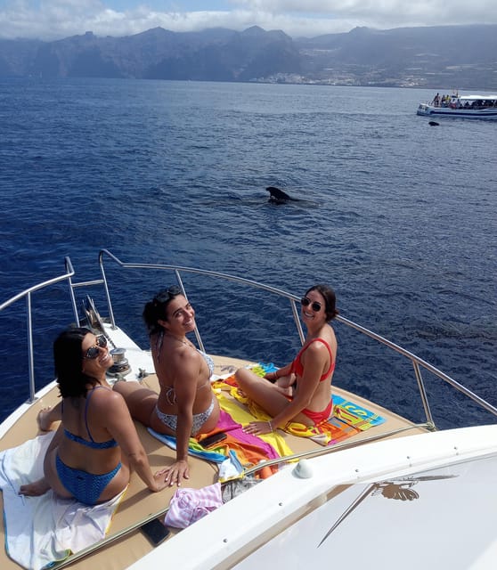 From Playa San Juan: Whale Watching, Gigantes, and Masca Bay - Practical details that make the trip easier