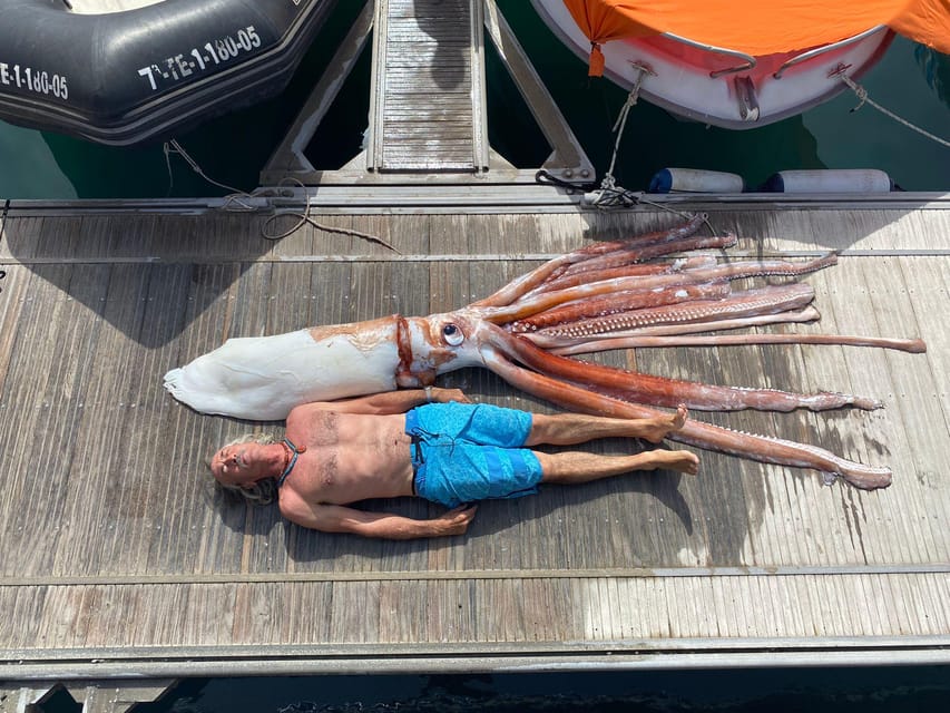 From Playa San Juan: Whale Watching, Gigantes, and Masca Bay - What lunch and drinks are like on board
