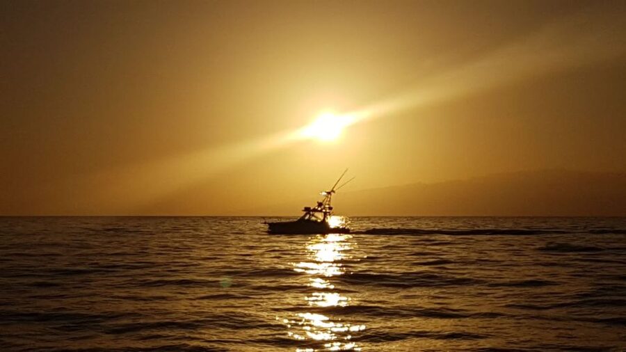 From Puerto Colón: Private Fishing Boat Charter with Lunch - A boat for beginners and committed anglers