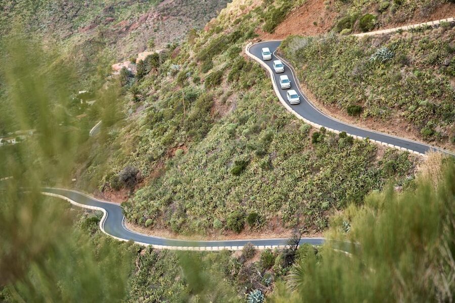 From Puerto de La Cruz: Full-Day Vip Tour to Gomera - Agulo and Hermigua on the northern side