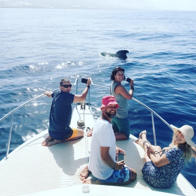 From San Juan beach : Marine Life Cruise - The snorkeling stop and what the sea decides