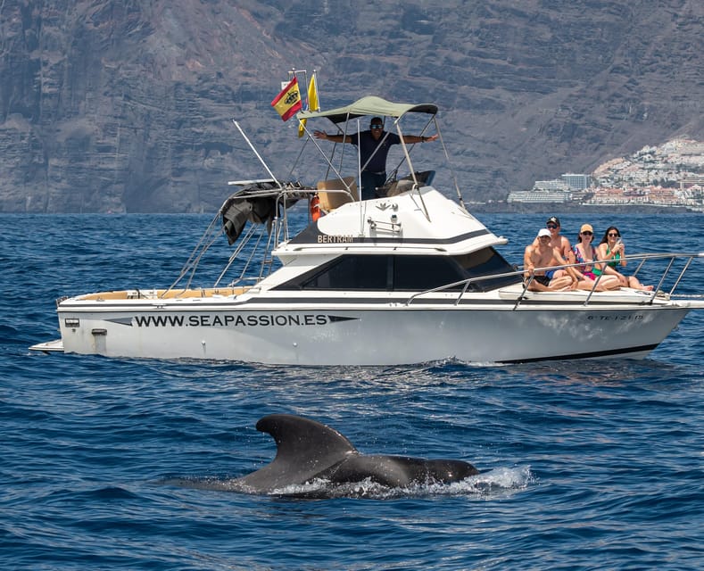 From San Juan beach : Marine Life Cruise - A quieter alternative to a large catamaran