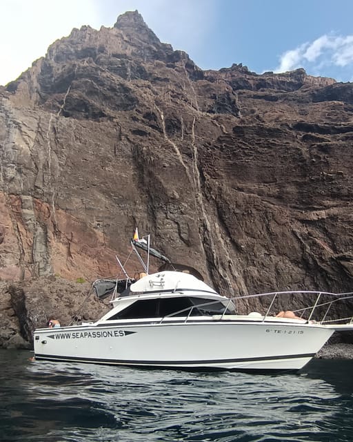 From San Juan beach : Marine Life Cruise - What can affect your experience