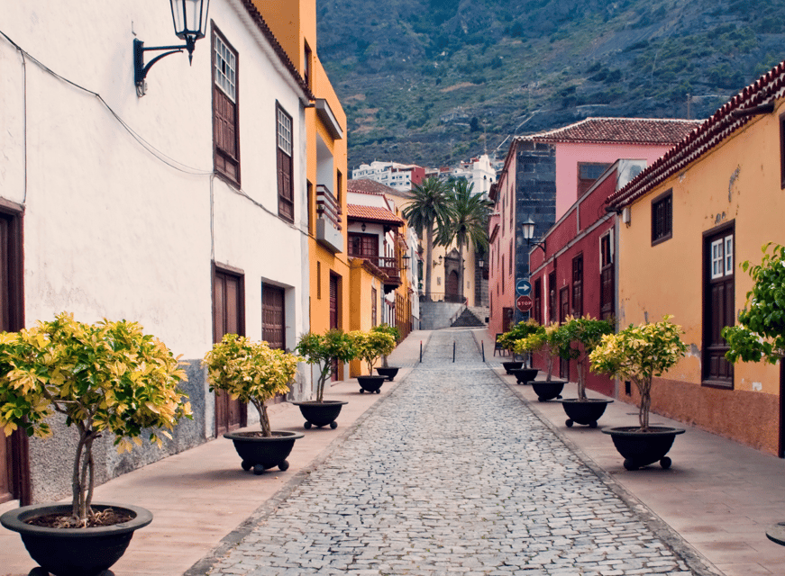 From Santa Cruz de Tenerife: Masca & Garachico Private Trip - Icod de los Vinos and the Millenary Drago