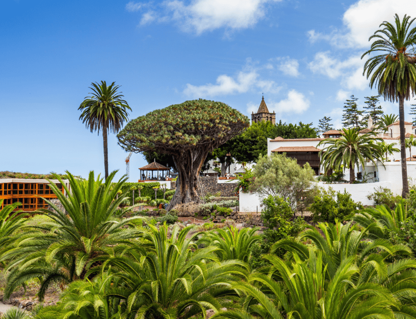From Santa Cruz de Tenerife: Masca & Garachico Private Trip - What the private guide adds