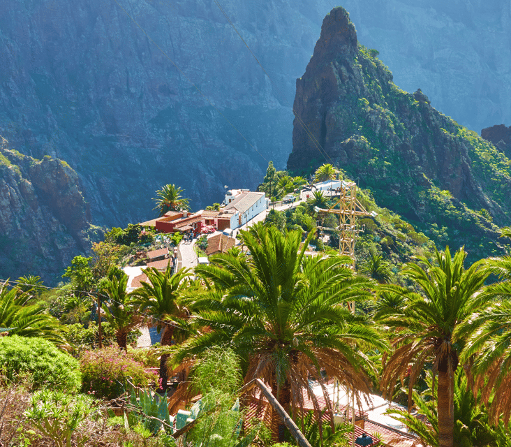 From Santa Cruz de Tenerife: Masca & Garachico Private Trip - The six-hour rhythm and what to bring