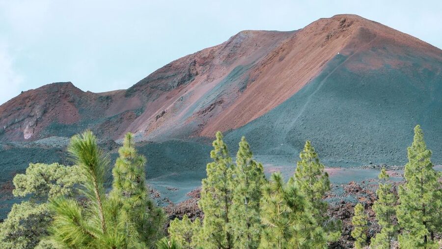 From Santa Cruz: Teide Volcano, Icod, & Garachico Tour - Who should book this tour