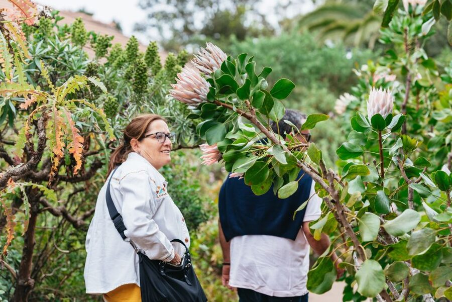 From South Tenerife: La Gomera Island Day Trip with Lunch - Key points to know before booking