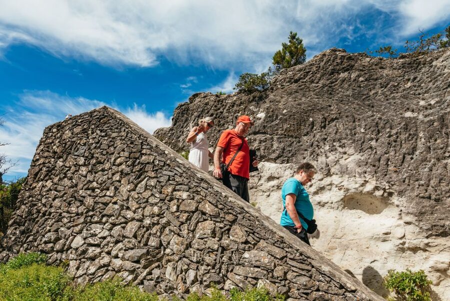 From South Tenerife: La Gomera Island Day Trip with Lunch - Who will enjoy this La Gomera trip most?