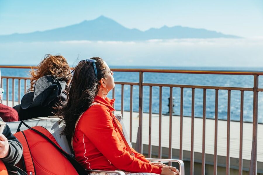From South Tenerife: La Gomera Island Day Trip with Lunch - Lunch, local food, and the sound of Silbo