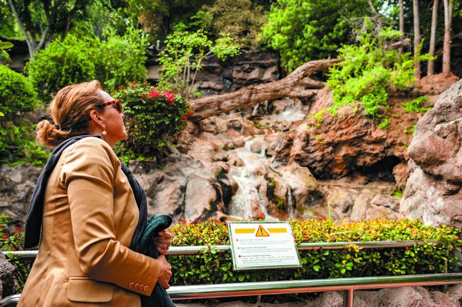 From South Tenerife: Loro Park Zoo Ticket & Hotel Transfers - More than the headline animals