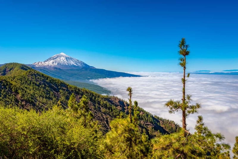 From South Tenerife: Mount Teide Hiking Day Trip & Cable Car - Roques de García adds a second kind of volcanic drama