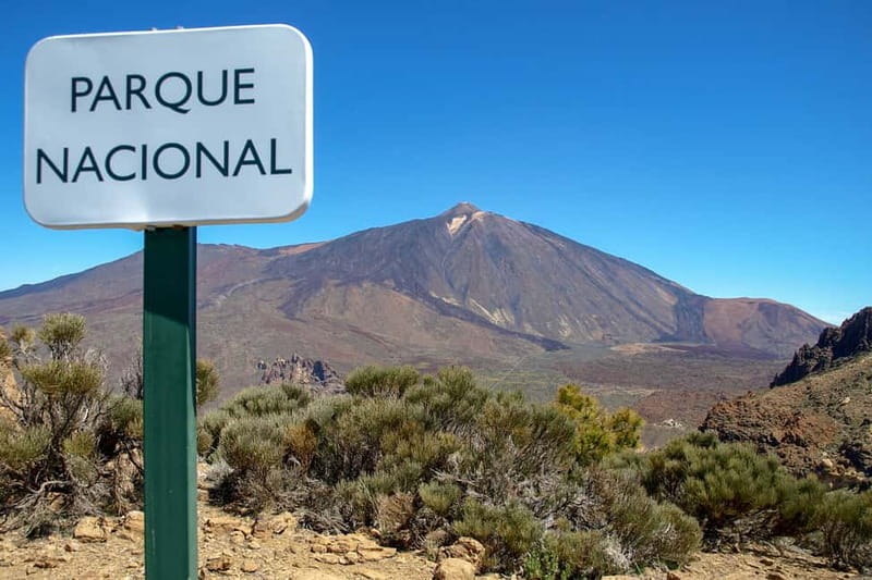From South Tenerife: Mount Teide Hiking Day Trip & Cable Car - Who should book this summit outing?
