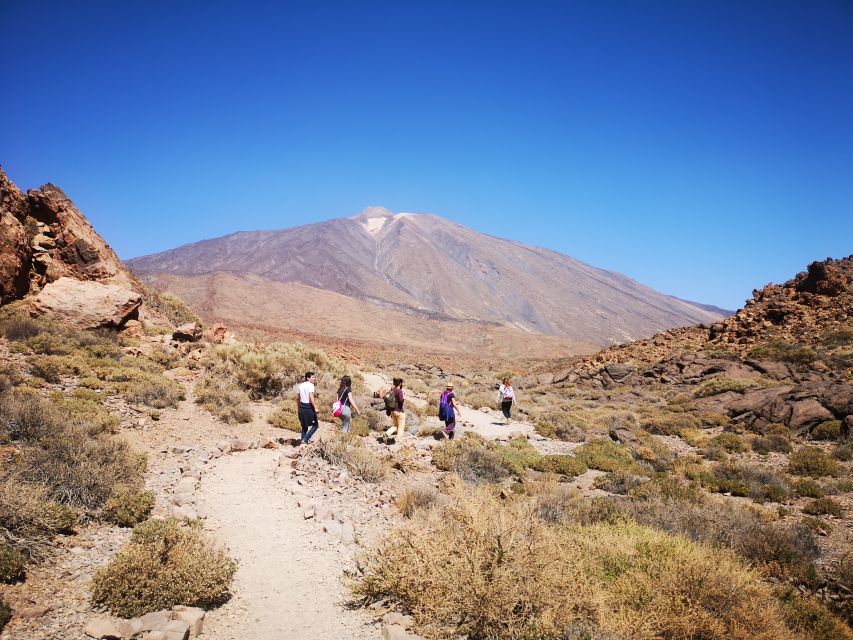 From South Tenerife: Teide National Park Tour - From resort coast to high mountain in four hours