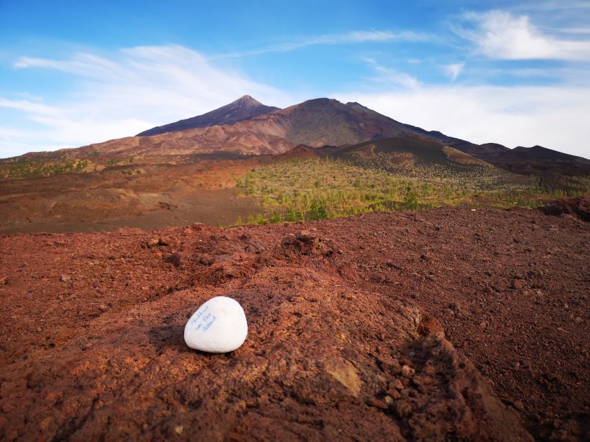 From South Tenerife: Teide National Park Tour - A short walk inside Teide National Park