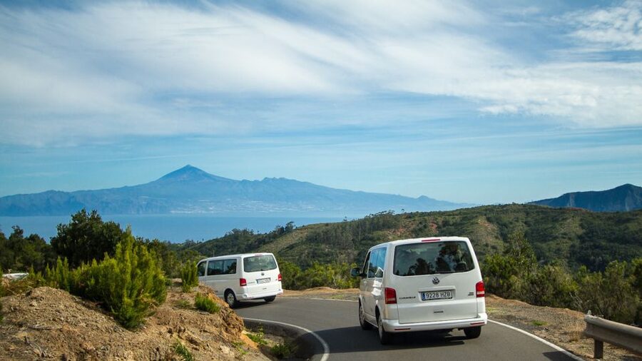From South Tenerife: VIP Gomera Tour - Traditional villages and local life