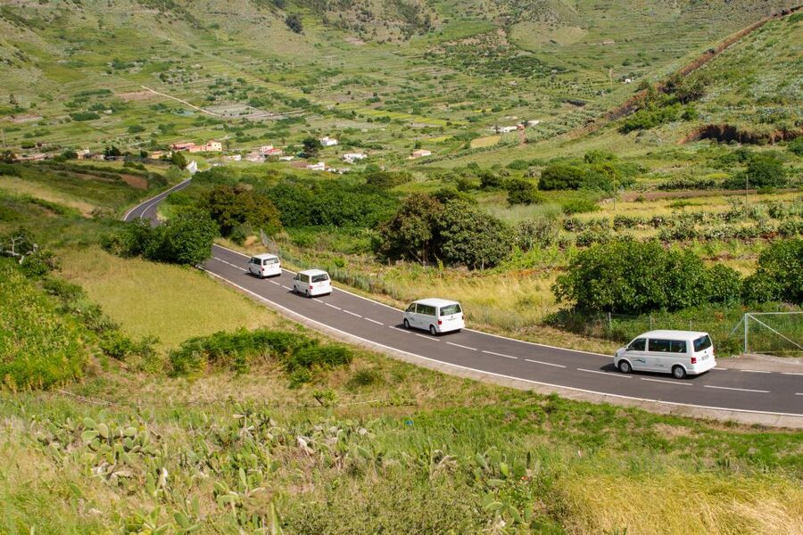 From South Tenerife: VIP Grand Tour Tenerife island - Who will get the most from this $110 tour?