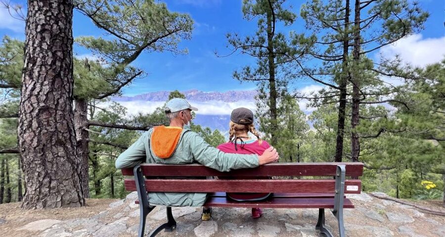 From Tenerife: Day Trip to La Palma Volcanic Landscapes - Tacande and the first sight of the eruption zone